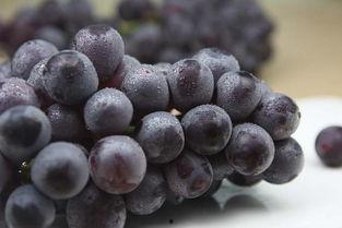 国产葡萄测评视频,口感与品质的双重享受