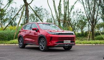 suv国产试驾视频,驾驭激情，尽享民族品牌风采