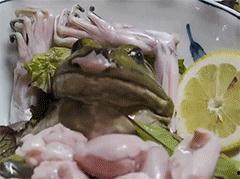 国产牛蛙刺身视频,探索传统美食新吃法