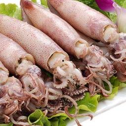 国产大鱿鱼图片高清视频,高清视觉盛宴，探寻海洋美味传奇