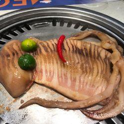 国产大鱿鱼图片高清视频,高清视觉盛宴，探寻海洋美味传奇