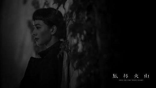 国产久九一视频,探索科技与艺术的完美融合