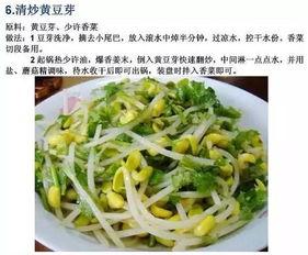 国产素菜推荐大全视频,国产素菜大全推荐