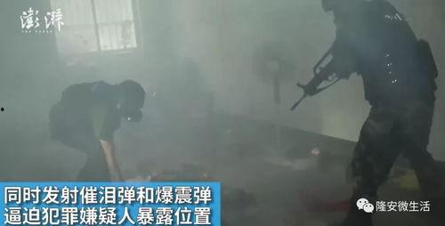 国产步枪击杀视频大全,硬核武器演绎战场传奇