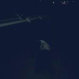 国产矮星炮视频