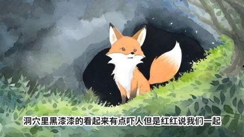 国产动画狐狸偷吃鸡视频,国产动画中的趣味一幕