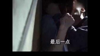 国产本道视频免费