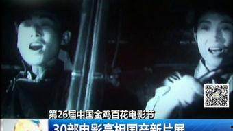 电影国产全部视频,光影中的家国情怀与时代变迁