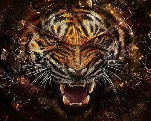 国产老虎图片视频大全集,图片视频大全集赏析