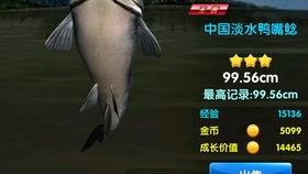 国产猛鱼视频,深海猎手，勇闯未知海域