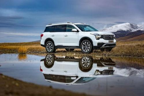 国产车集合图片高清视频,高清视频中的国产车集合赏析