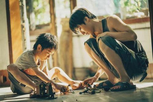 国产野孩子电影解说视频,探寻自然与童心的奇幻之旅