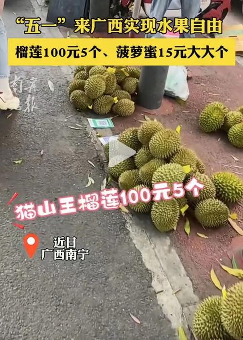国产榴莲开果翻车视频播放,揭秘种植与收获的意外瞬间
