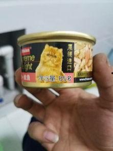 国产猫主食罐头试吃视频,品质与口感的双重享受
