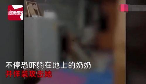 国产大叫免费视频