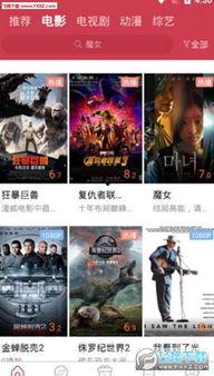 国产黄鱼视频在线,探寻海洋美味之源