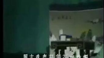 国产恋老视频在线